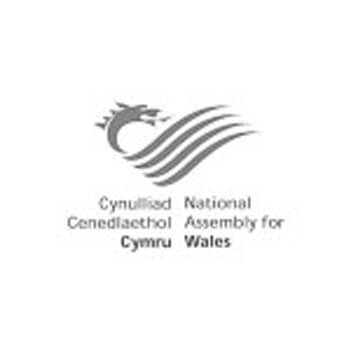National Assembly for Wales International