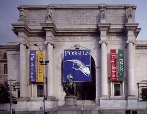 Museum of Natural History Manhattan